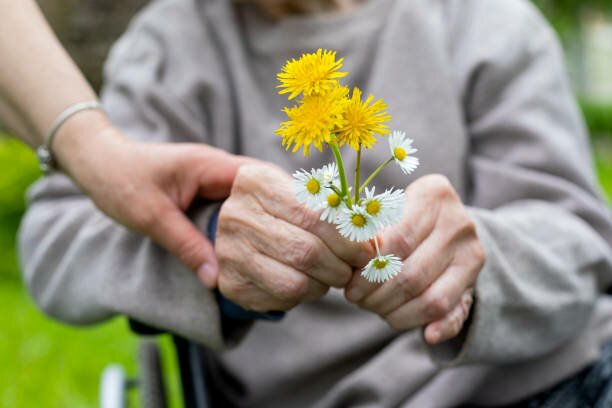 The Nurse and the Flower